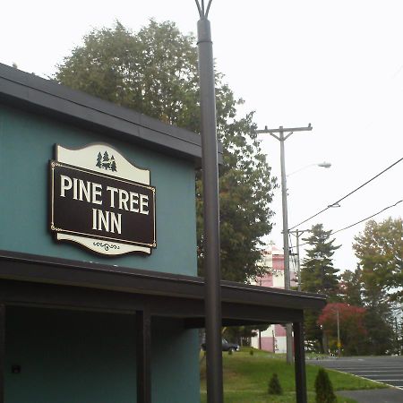 Pine Tree Inn Бангор Экстерьер фото